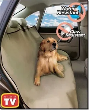 Pet Rider_thumb[4]