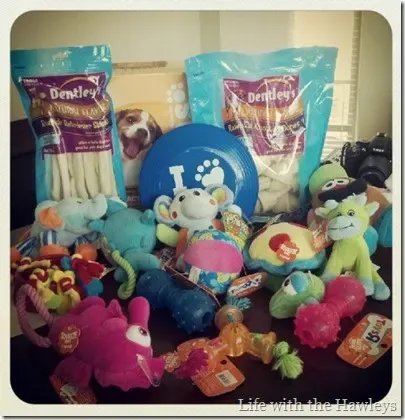 Dog toys
